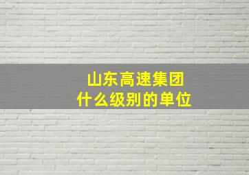 山东高速集团什么级别的单位