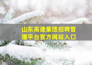 山东高速集团招聘管理平台官方网站入口