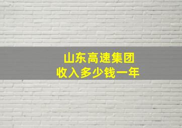 山东高速集团收入多少钱一年