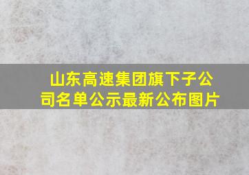 山东高速集团旗下子公司名单公示最新公布图片