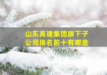 山东高速集团旗下子公司排名前十有哪些