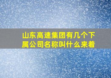 山东高速集团有几个下属公司名称叫什么来着