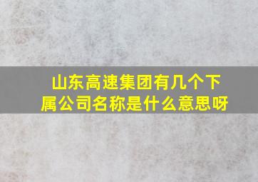 山东高速集团有几个下属公司名称是什么意思呀