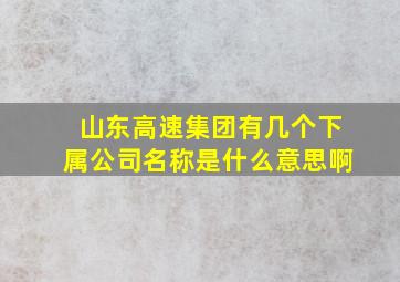 山东高速集团有几个下属公司名称是什么意思啊