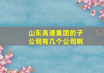 山东高速集团的子公司有几个公司啊