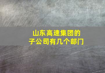 山东高速集团的子公司有几个部门