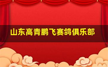 山东高青鹏飞赛鸽俱乐部