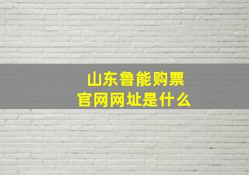 山东鲁能购票官网网址是什么