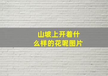 山坡上开着什么样的花呢图片