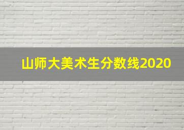 山师大美术生分数线2020