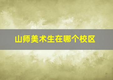 山师美术生在哪个校区