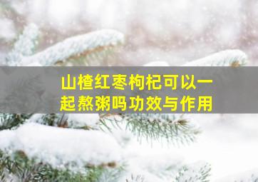 山楂红枣枸杞可以一起熬粥吗功效与作用