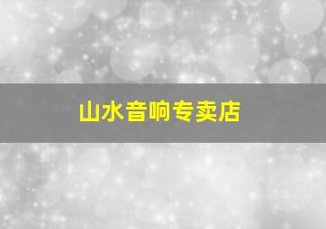 山水音响专卖店