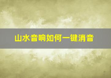 山水音响如何一键消音