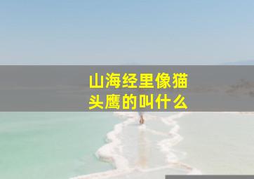 山海经里像猫头鹰的叫什么