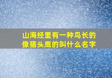 山海经里有一种鸟长的像猫头鹰的叫什么名字