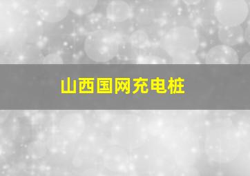 山西国网充电桩