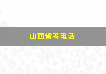 山西省考电话