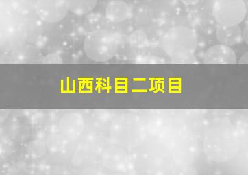 山西科目二项目