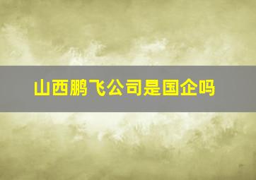 山西鹏飞公司是国企吗