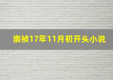 崇祯17年11月初开头小说