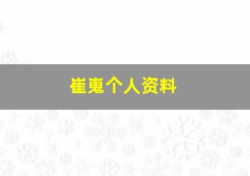 崔嵬个人资料