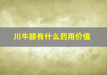 川牛膝有什么药用价值