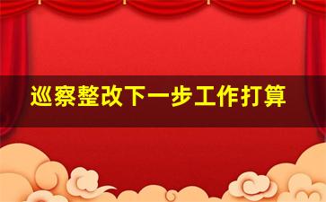 巡察整改下一步工作打算