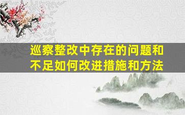 巡察整改中存在的问题和不足如何改进措施和方法