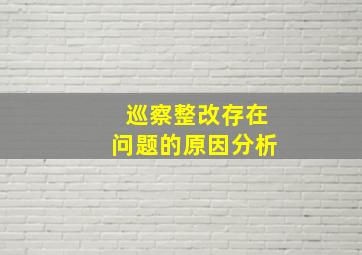 巡察整改存在问题的原因分析