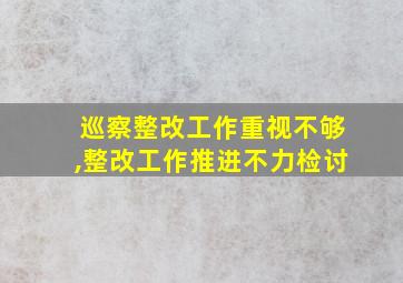 巡察整改工作重视不够,整改工作推进不力检讨