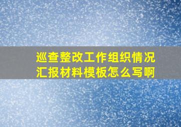 巡查整改工作组织情况汇报材料模板怎么写啊