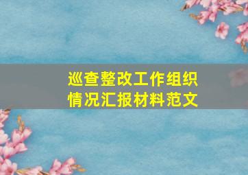 巡查整改工作组织情况汇报材料范文