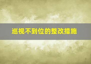 巡视不到位的整改措施