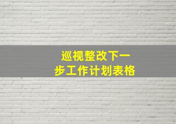 巡视整改下一步工作计划表格