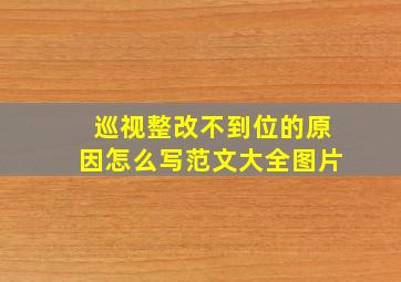 巡视整改不到位的原因怎么写范文大全图片