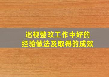 巡视整改工作中好的经验做法及取得的成效