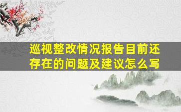 巡视整改情况报告目前还存在的问题及建议怎么写