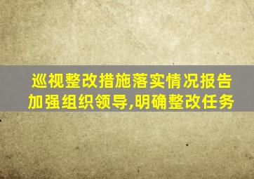 巡视整改措施落实情况报告加强组织领导,明确整改任务