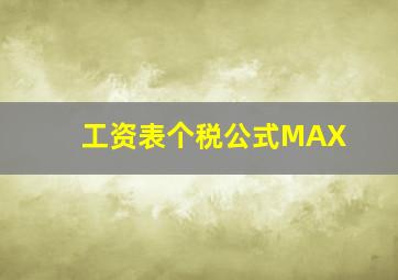 工资表个税公式MAX