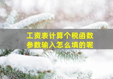 工资表计算个税函数参数输入怎么填的呢