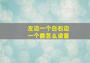 左边一个白右边一个爵怎么读音