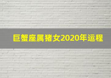 巨蟹座属猪女2020年运程