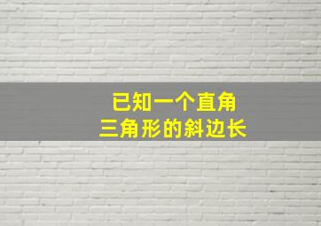 已知一个直角三角形的斜边长