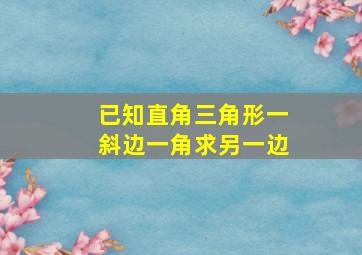 已知直角三角形一斜边一角求另一边