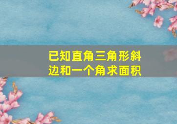 已知直角三角形斜边和一个角求面积