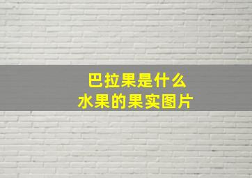 巴拉果是什么水果的果实图片