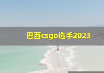 巴西csgo选手2023