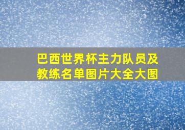 巴西世界杯主力队员及教练名单图片大全大图