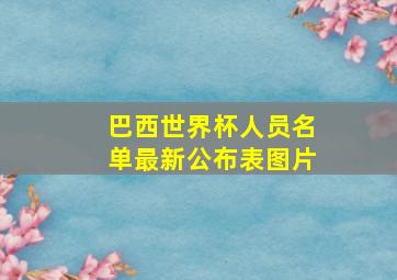 巴西世界杯人员名单最新公布表图片